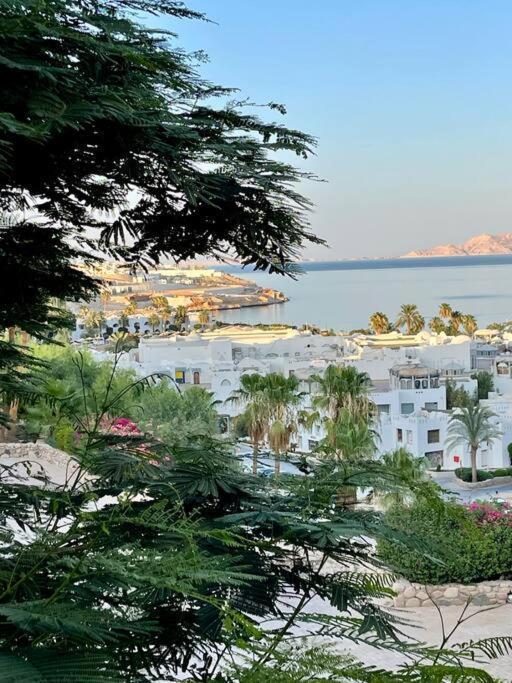 ℂoral Bay Dream - Luxury Sunset Sea View Apartment Szarm el-Szejk Zewnętrze zdjęcie